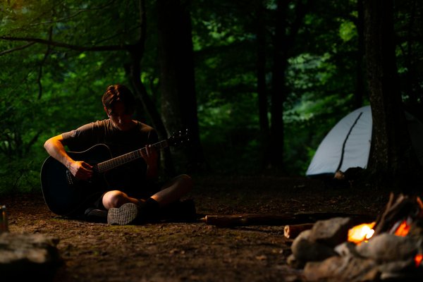 Online platby – Forest Arrow česky