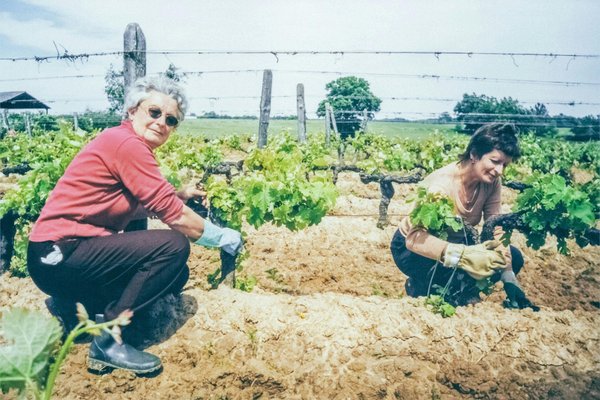Famille de vignerons : tradition et amour du vin